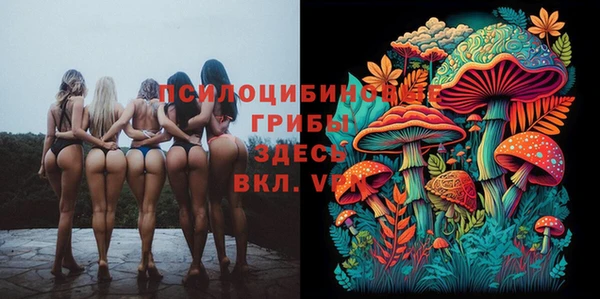 а пвп мука Балабаново
