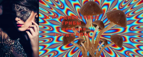 PSILOCYBIN Нея