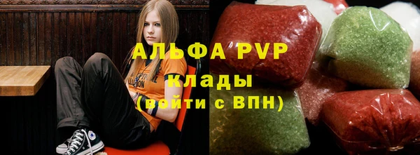 ПСИЛОЦИБИНОВЫЕ ГРИБЫ Аркадак