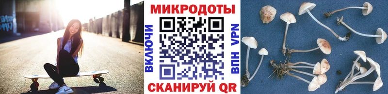 где продают   Белозерск  Галлюциногенные грибы Psilocybine cubensis 