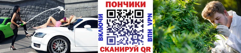 Шишки марихуана гибрид  блэк спрут маркетплейс  Белозерск 
